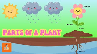 Plant Science Made Easy for Elementary Explorers [upl. by Snowman]