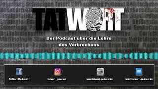 24  Kriminalitätstheorien Die Soziale Desorganisation  TatWort [upl. by Urania]