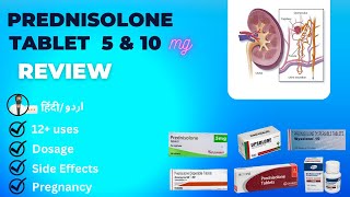 Prednisolone 5mg  Prednisone  Prednisolone Dispersible Tablets 10 mg in Hindi  Medical Creator [upl. by Alisander932]