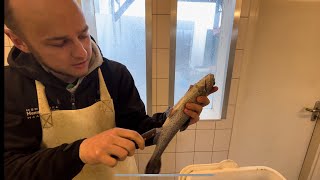 Forel slachten forel schoonmaken [upl. by Alberic]