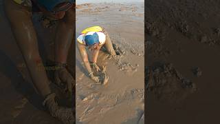 Biggest Mud Crab Catching shorts viralvideo shortsvideo भालावर भेटला मोठा चिंबोरा  chimbora [upl. by Denys]