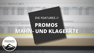 PROMOS Mahn und Klageakte [upl. by Savitt230]