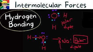 Intermolecular Forces grade 11 Hydrogen bonding [upl. by Atinahc]