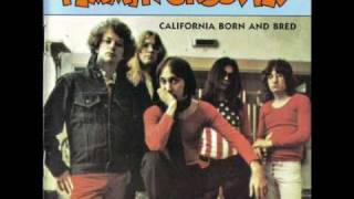 Flamin Groovies  Shakin all over [upl. by Ainyt]