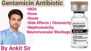 Gentamicin Antibiotic  Aminoglycoside  Mechanisms Of Action Dose  Route Side Effectsmedical [upl. by Yim245]