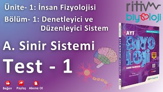 Test – 1 – Nöron Yapısı ve Çeşitleri [upl. by Rena585]