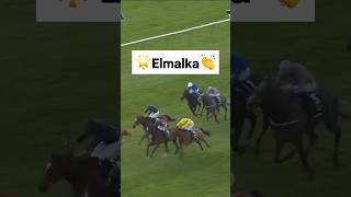 Elmalka Triumphs in the 2024 1000 Guineas at Newmarket [upl. by Enirac]