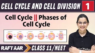 Cell Cycle and Cell Division 01  Cell Cycle  Phases of Cell Cycle  Class 11NEET  RAFTAAR [upl. by Howard878]