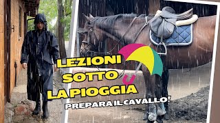 ROUTINE AL MANEGGIO  Preparare il Cavallo sotto la Pioggia equitazione [upl. by Sapowith]