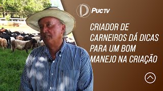 CRIADOR DE CARNEIROS DÁ DICAS PARA UM BOM MANEJO NA CRIAÇÃO [upl. by Adnesor]