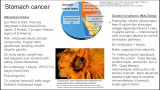 Stomach cancer gastric cancer [upl. by Dryden735]