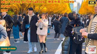 4k hdr japan travel 2024  Autumn Walk in Meiji Shrine Outer Garden（神宮外苑）Tokyo Japan  golden ginkgo [upl. by Sorci]