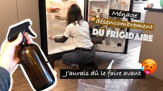 DÉSENCOMBREMENT DE MON FRIGIDAIRE  ROUTINE MÉNAGE FRIGO MINIMALISTE [upl. by How]