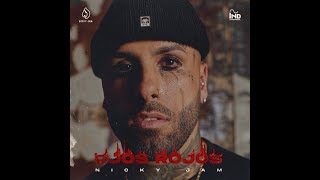 NICKY JAM OJOS ROJOS INSTRUMENTAL [upl. by Einnep723]