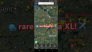 🤯RARE BELUGA XL PLANE CATCH✈️ ON FLIGHTRADAR 247 [upl. by Malony]