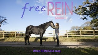 free REINgold song [upl. by Einnil]