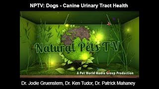 Natural Pets TV Dog Edition Episode 9  Canine Urinary Tract Health amp Care Information [upl. by Patt520]