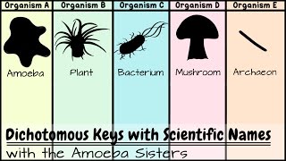 Dichotomous Keys Identification Achievement Unlocked [upl. by Charlie390]