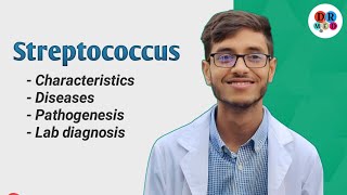 Streptococcus pyogens  Gram positive cocci  Bacteriology  Microbiology bangla lecture [upl. by Idalla285]