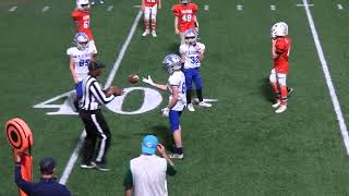 Dolphins vs Lions Playoff [upl. by Musihc690]