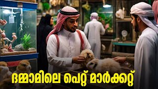 DAMMAM SEICKO MARKET  DAMMAM PET MARKET MALAYALAM  SEICKO MARKET  SUMEER SULAIMAN [upl. by Brandtr282]