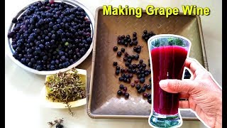 How To Make Grape Wine at Home  Homemade Red Wine Recipe  Craft Village [upl. by Egbert249]