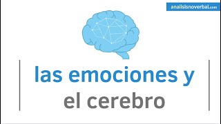 Las emociones y el cerebro [upl. by Nnailuj]