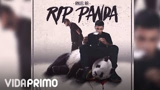 Anuel AA  RIP Panda ft Arcangel Official Audio [upl. by Aroda]