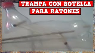 Trampa Para Ratones o Ratas con Botella tutorial completo  YMX SUPERVIVENCIA [upl. by Latrina128]