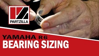 Sizing the Bearings on a Yamaha R6  Partzillacom [upl. by Odidnac]