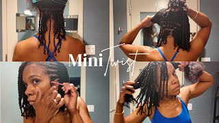 Twist Out on Blown out Hair  No Hair Added  One Product Style  Easy Hairstyle [upl. by Rednal]