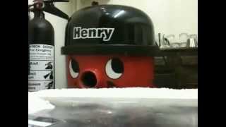 naughty henry [upl. by Aramat]