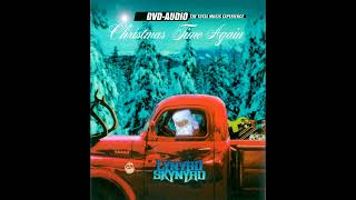 Lynyrd Skynyrd  Christmas Time Again 51 Surround Sound [upl. by Antonio]