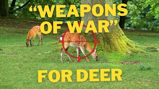 quotWeapons Of Warquot To Be Used For Deer Cull  A Lawyer Explains [upl. by Breh738]