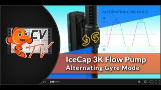 IceCap Gyre 3K Alternating Gyre Mode [upl. by Eliak562]