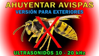 SONIDO PARA AHUYENTAR AVISPAS 🚫🐝 REPELENTE DE AVISPAS  ULTRASONIDO [upl. by Hiett666]