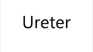 How to Pronounce Ureter [upl. by Pooh]