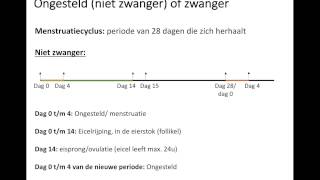 Ongesteld of zwanger [upl. by Vladimir]