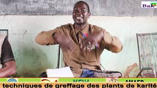 Atelier de formation sur les Techniques de Greffage du Karité à FONSEBOUGOU SIKASSO JOURI [upl. by Tova965]