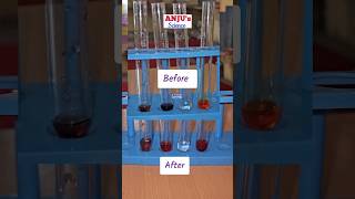 Acid base Indicators experiment  Activity 21 Class 10 Science shorts anjusscience [upl. by Denice]