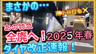 【マジか！こんなに変わるの⁉️】各線特急が色々消滅だと⁉️2025年春JR東日本ダイヤ改正が衝撃すぎて…‼️ [upl. by Magree]