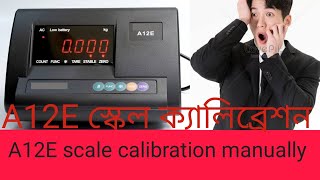 A12E scale calibration [upl. by Rosel]