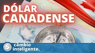 TUDO SOBRE DÓLAR CANADENSE Previsão onde comprar Notas aceitas gráficos dicas [upl. by Cash747]