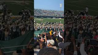 Norfolk State University MEAC Marching Band 2022  ‘23 [upl. by Amory]