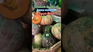 Tamarindo Guanacaste farmers market with Organic Nosara puravida travel organicfood c [upl. by Atteyek]