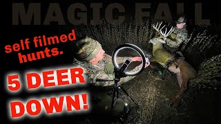 OUR MAGIC FALL 5 BIG DEER DOWN in Minnesota self filmed hunts [upl. by Ynettirb]