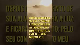 📖 quotMENSAGEM DA BÍBLIA ISAÍAS 5311quot 📖 [upl. by Zobias]