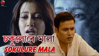 SOKULURE MALA GOTHA  ALOXUWA MON  ASSAMESE VIDEO SONG  ZUBEEN GARG  BARSHA RANI BISHAYA [upl. by Hippel319]