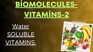 water soluble vitamins Biological functions of vitamins [upl. by Hanikehs]