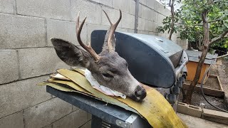 barbacoa de venado  estilohidalgo [upl. by Casaleggio]